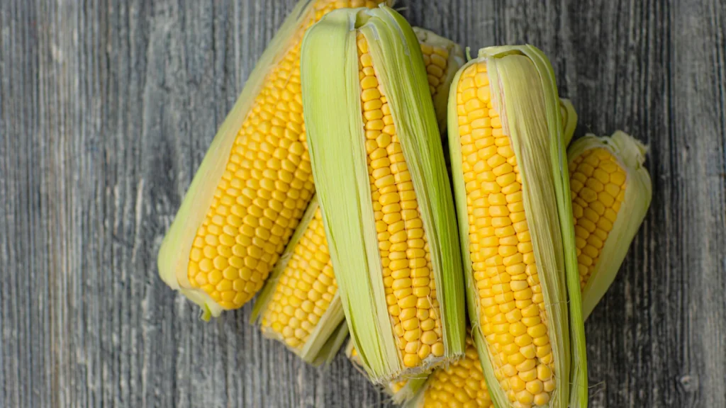 corn puns