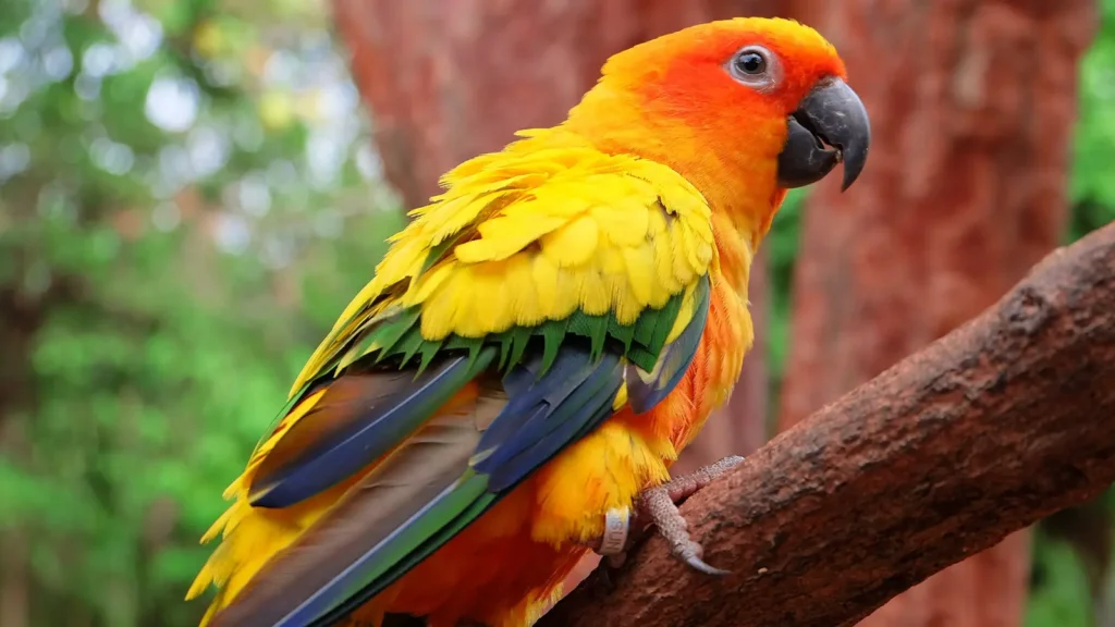 Animal Pick Up Lines