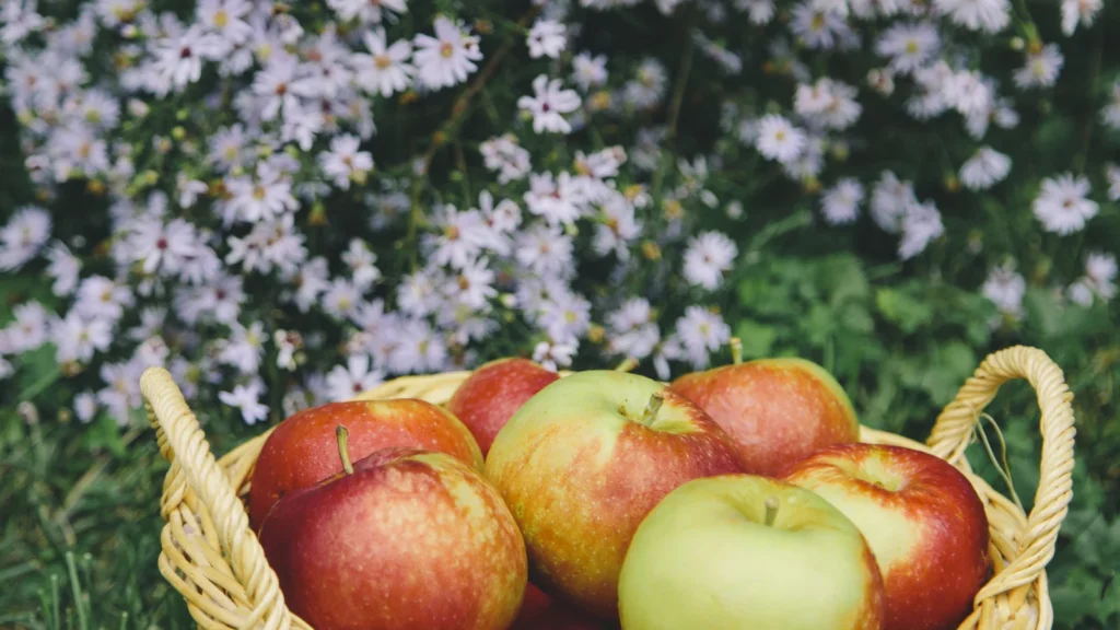 _Apple Puns