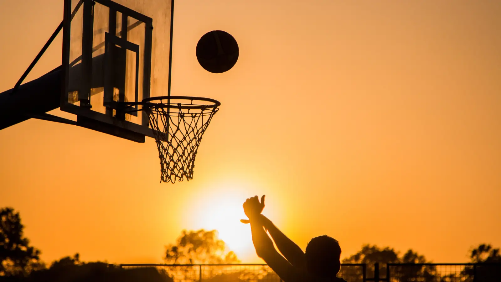 Basketball Puns