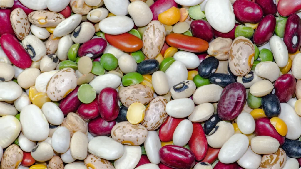 Bean Puns