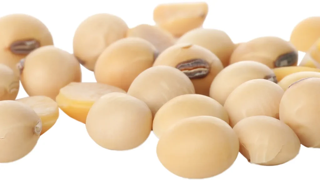 Bean Puns