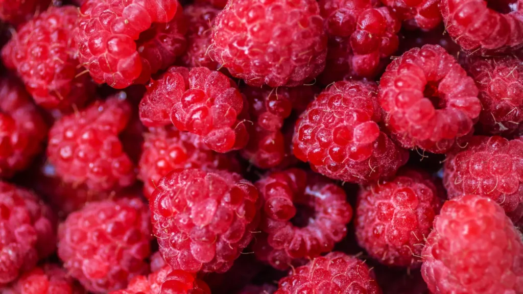 Berry Puns
