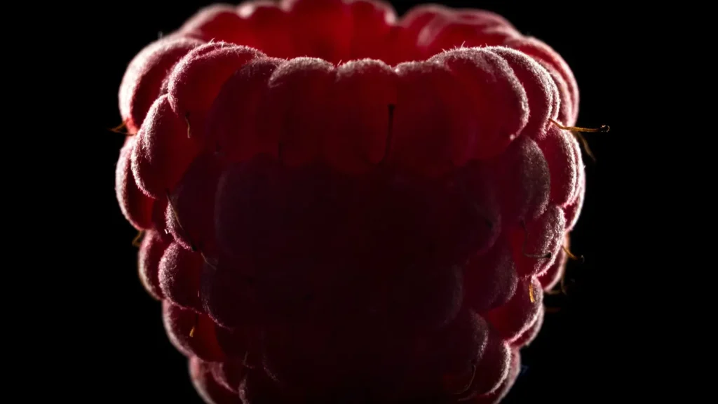 Berry Puns
