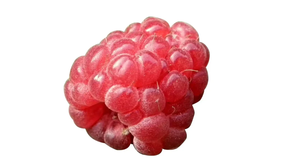 Berry Puns