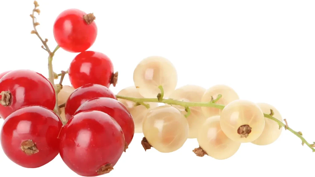 Berry Sweet Strawberry Puns