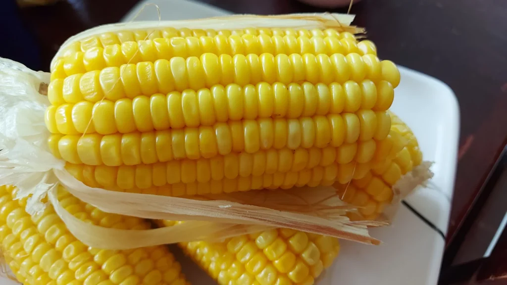corn puns