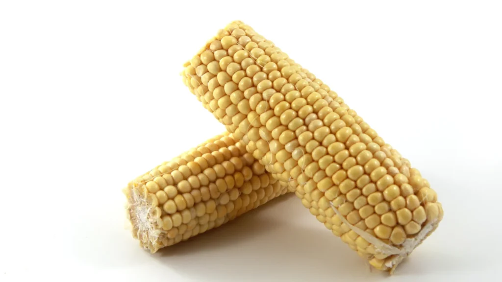 corn puns