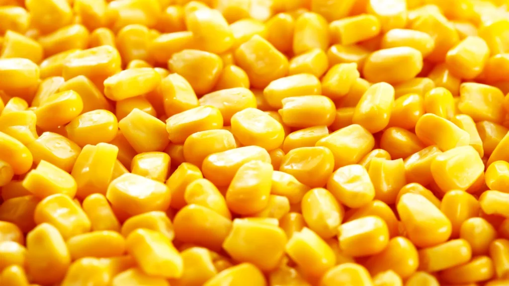 Corn Puns 