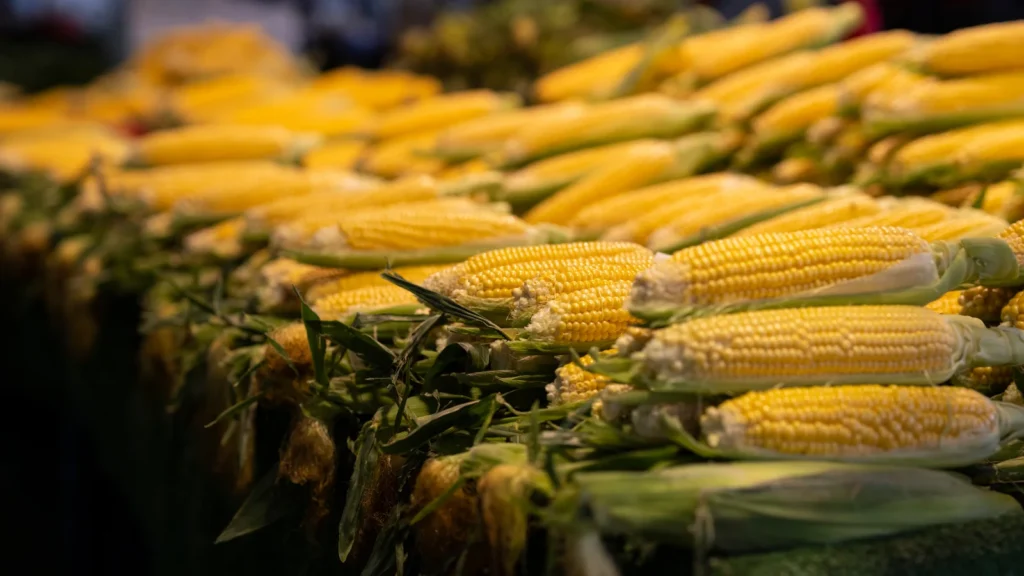 corn puns