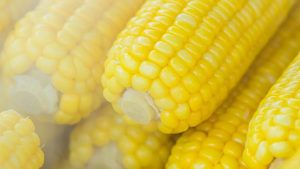 corn puns