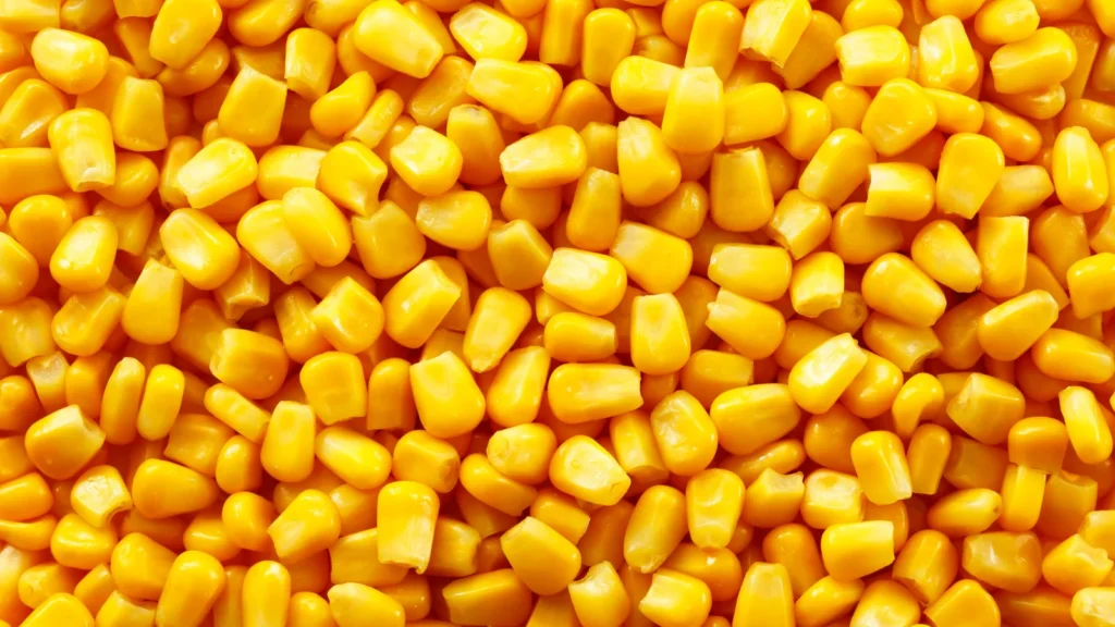 corn puns