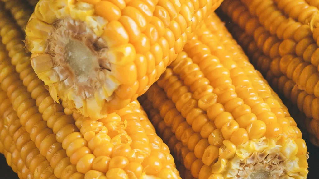 corn puns