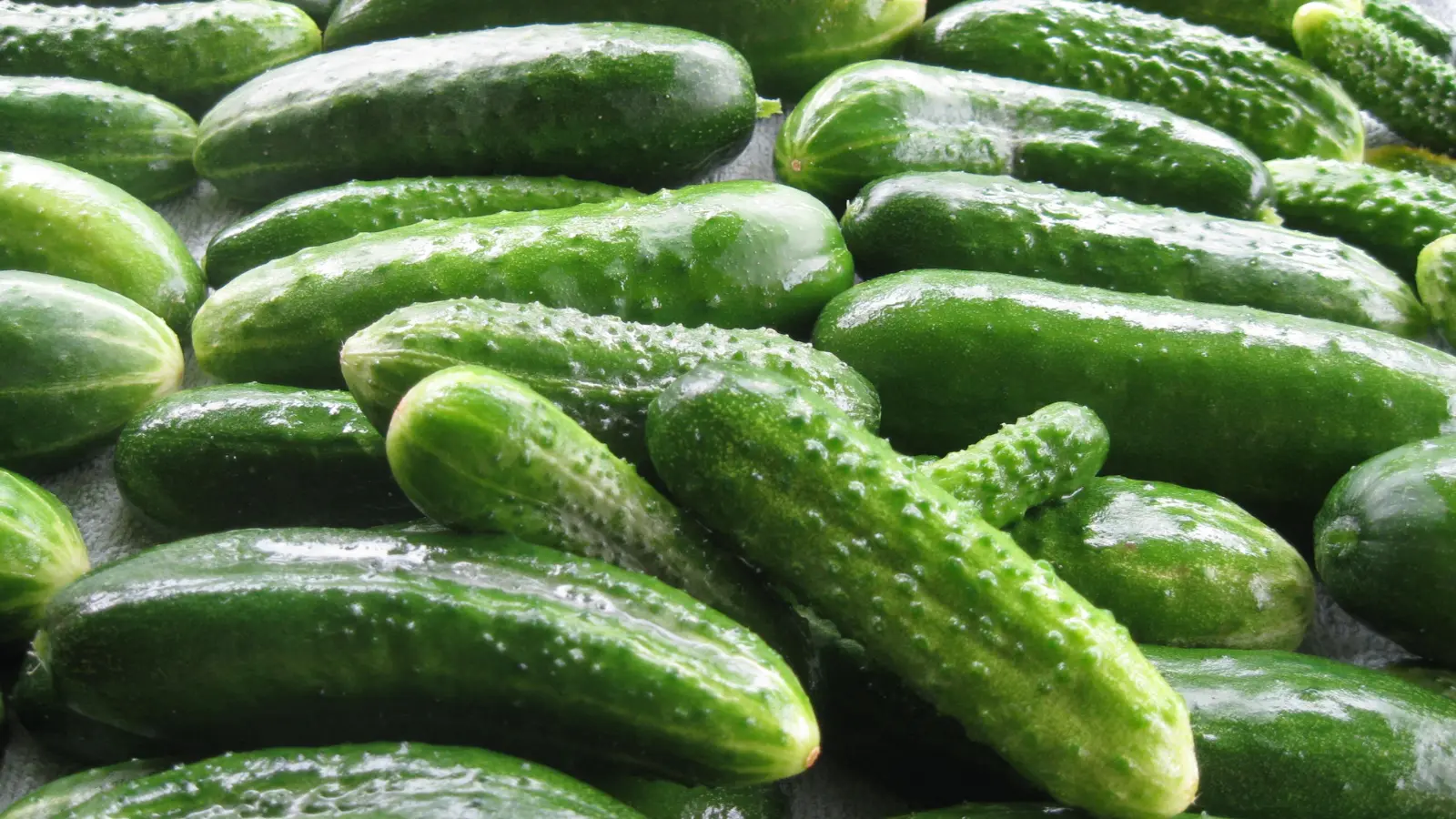 Cucumber Pick Up Lines