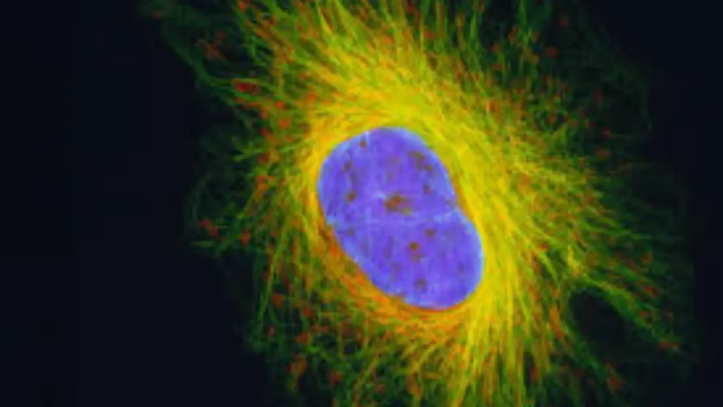 Cytoskeleton Pick Up Lines