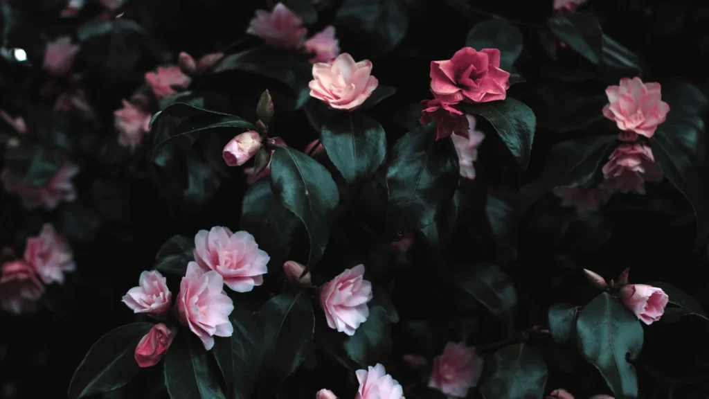 Flower Puns