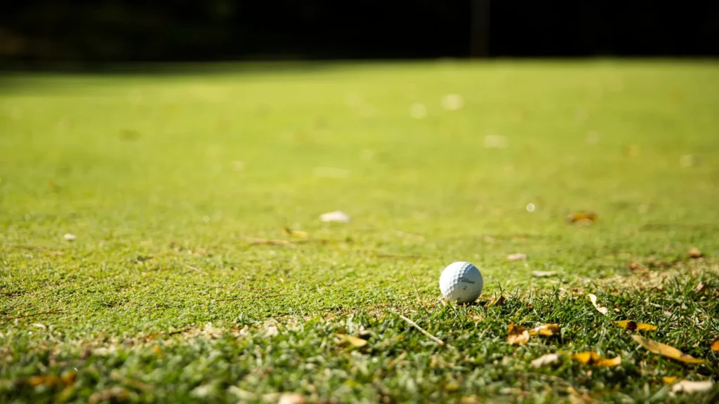 Golf Puns