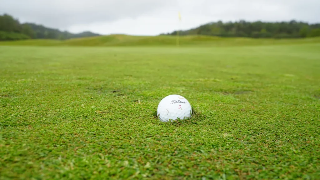 Golf Puns