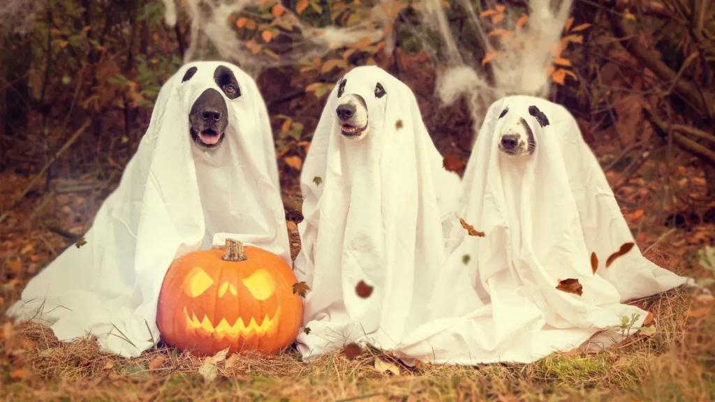 Halloween Pick Up Lines