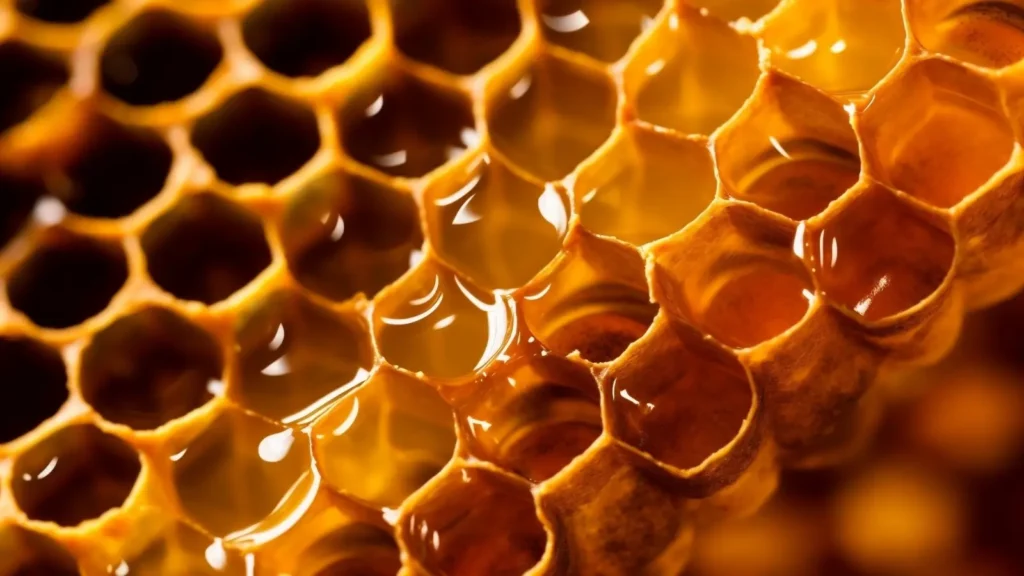Honey Pick Up Lines
