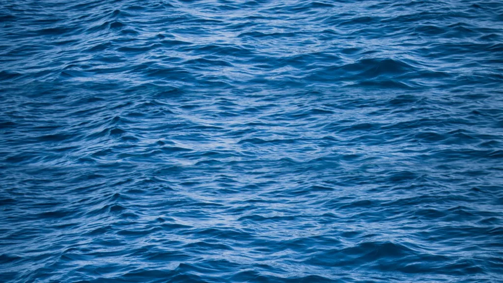 Sea Puns