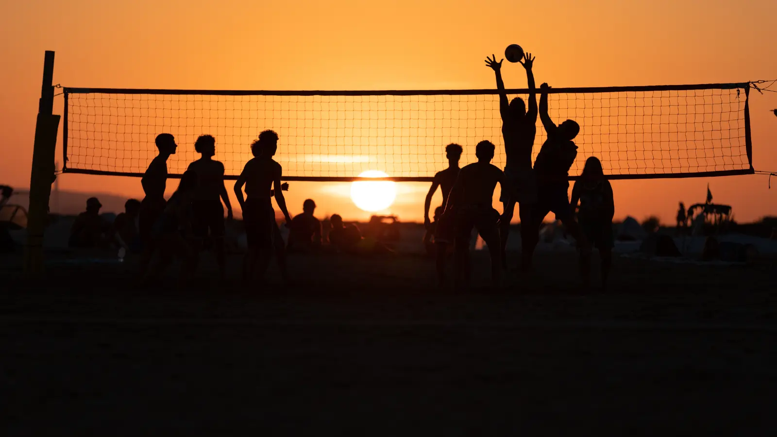 Volleyball Puns