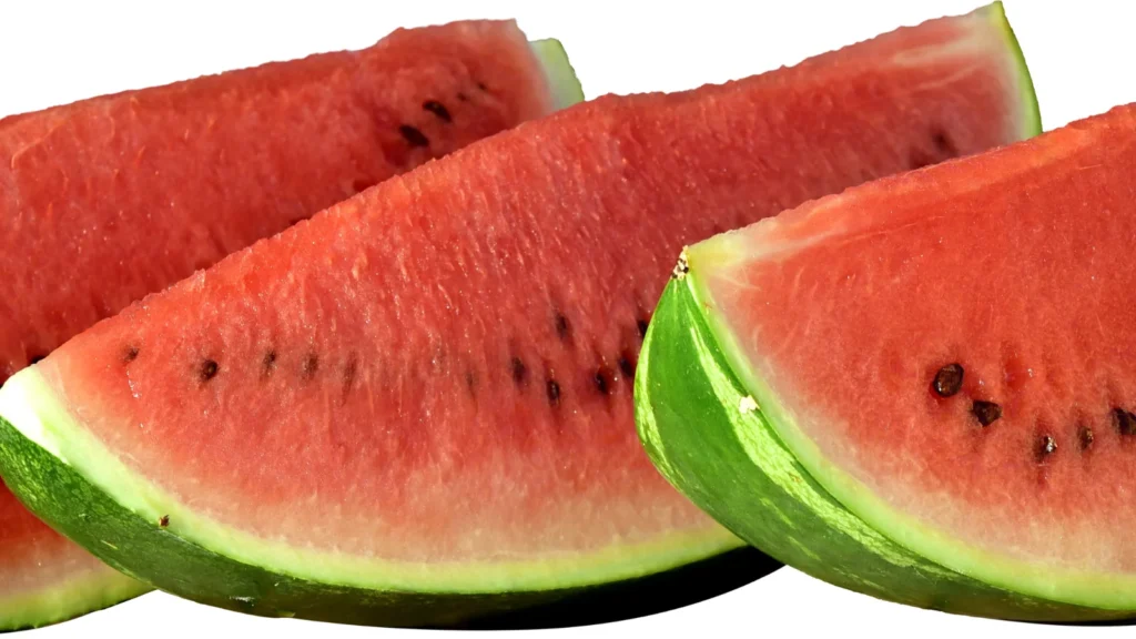 Watermelon Puns