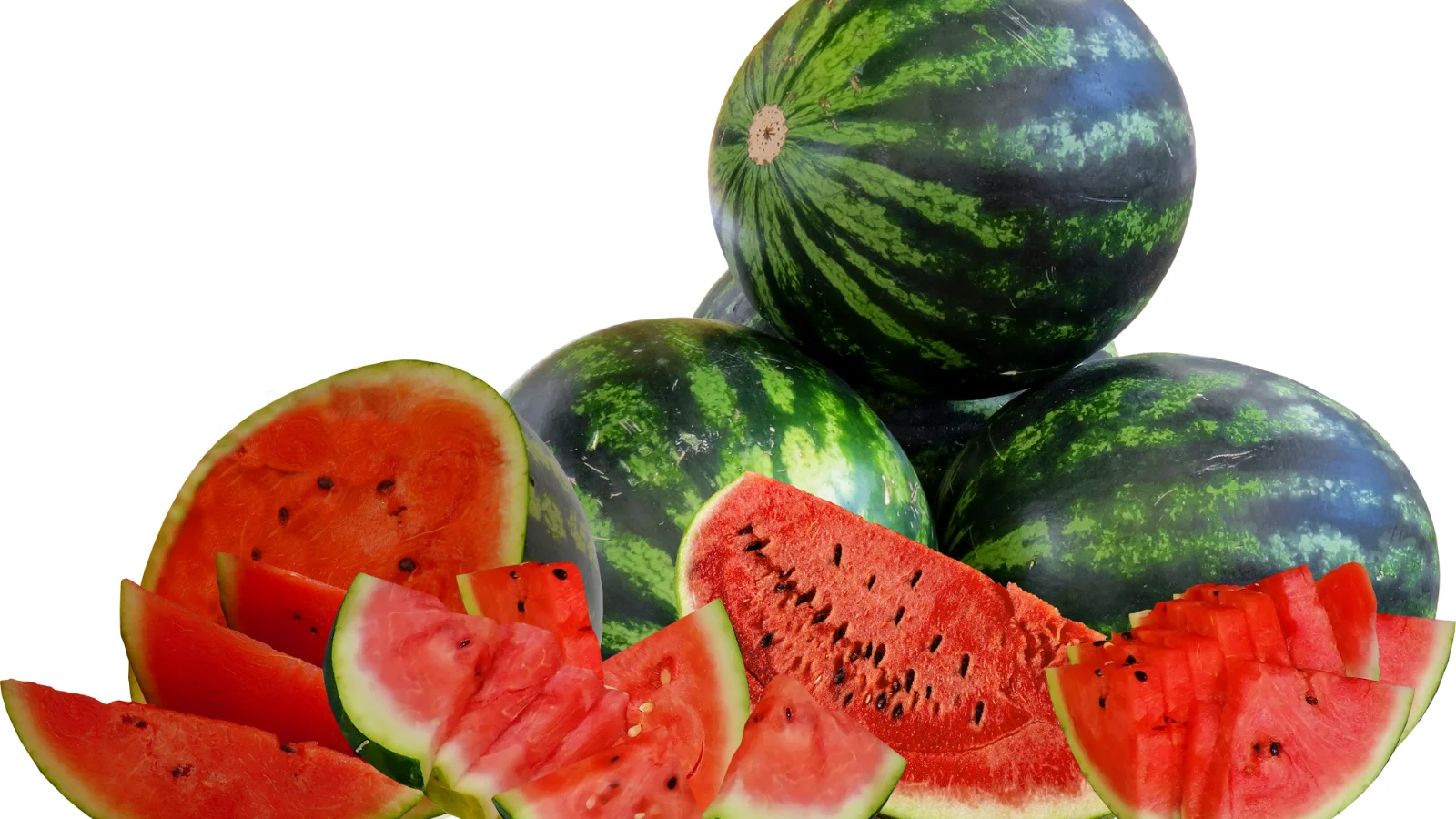 Watermelon Puns