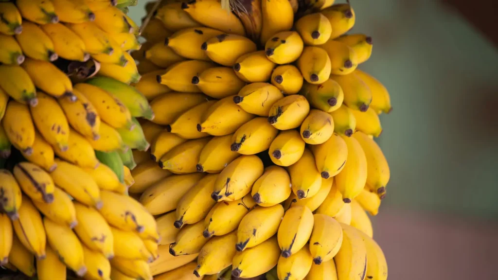 banana puns