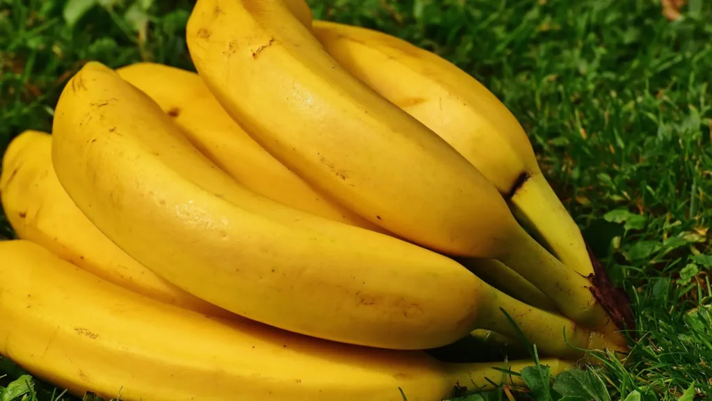 banana puns
