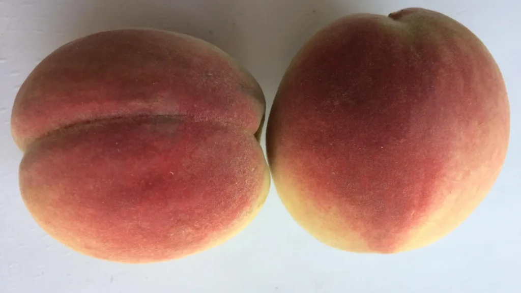 peach puns
