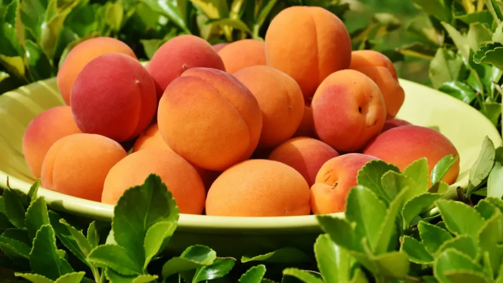 peach puns
