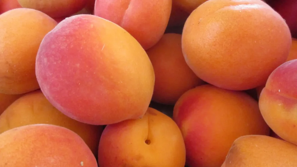 peach puns
