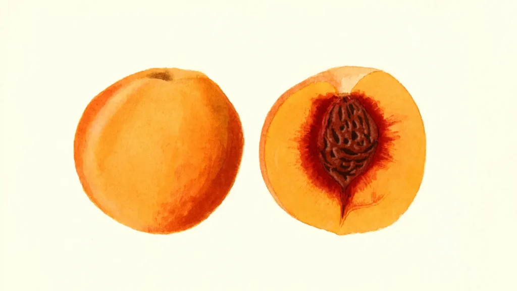 peach puns